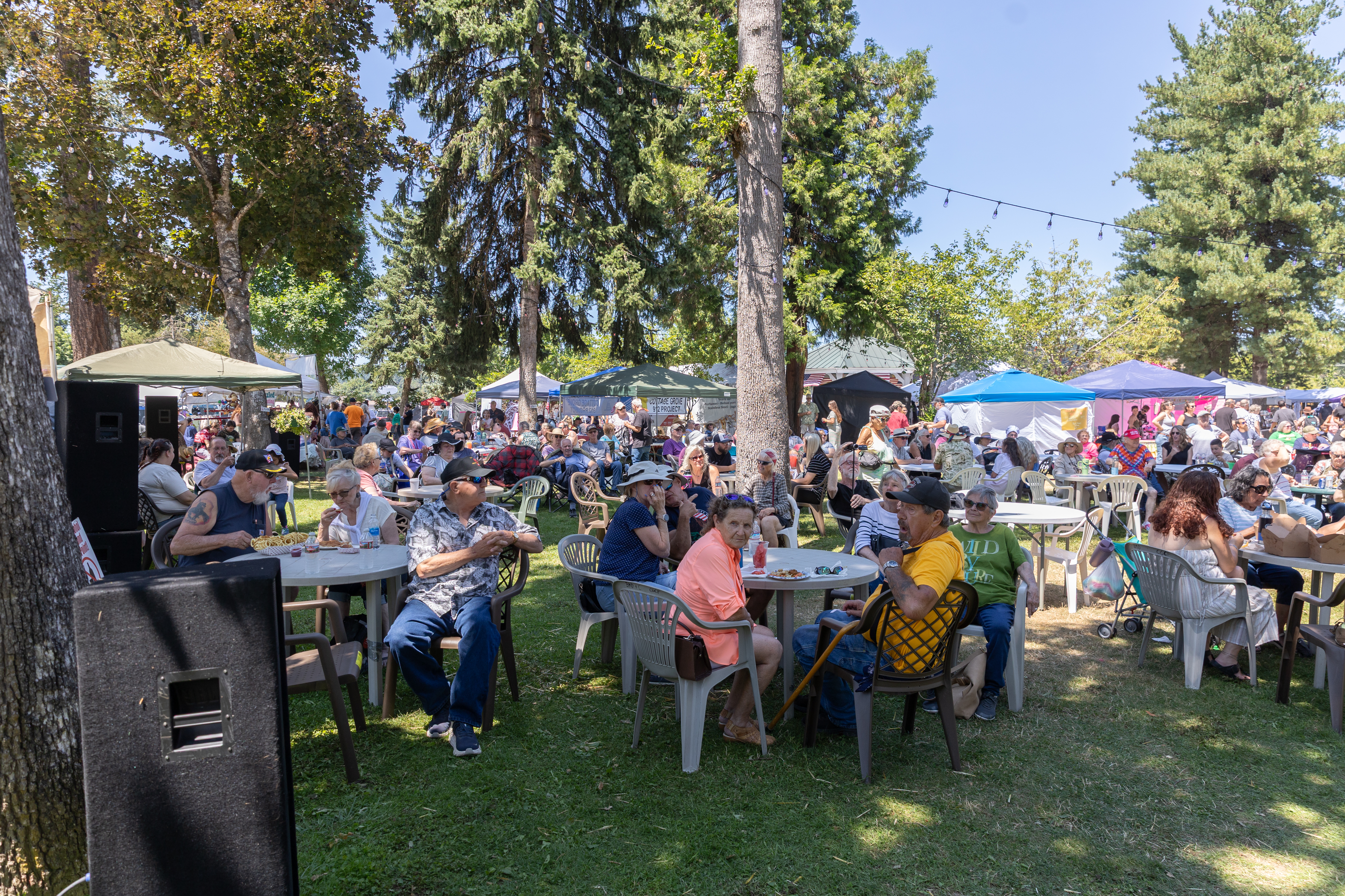 2026 Festival Photo Gallery thumbnail 12